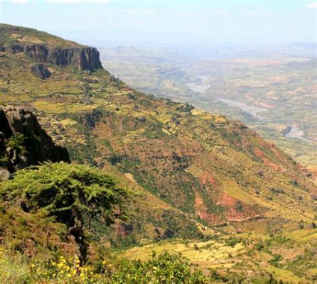 Il Monastero di Debre Libanos: Un'Oasi Spirituale e Storica nella Foresta Etiopiana!