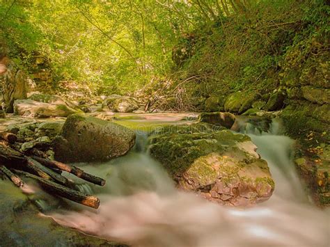   Il Quercus Valley: Un rifugio di pace immerso nella natura selvaggia!